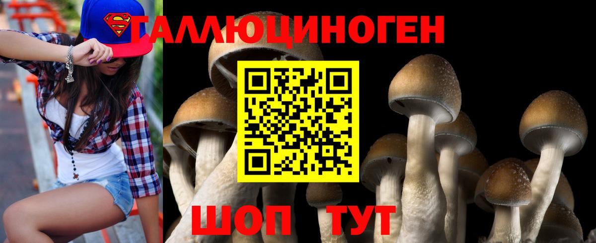 Галлюциногенные грибы Psilocybe Волхов