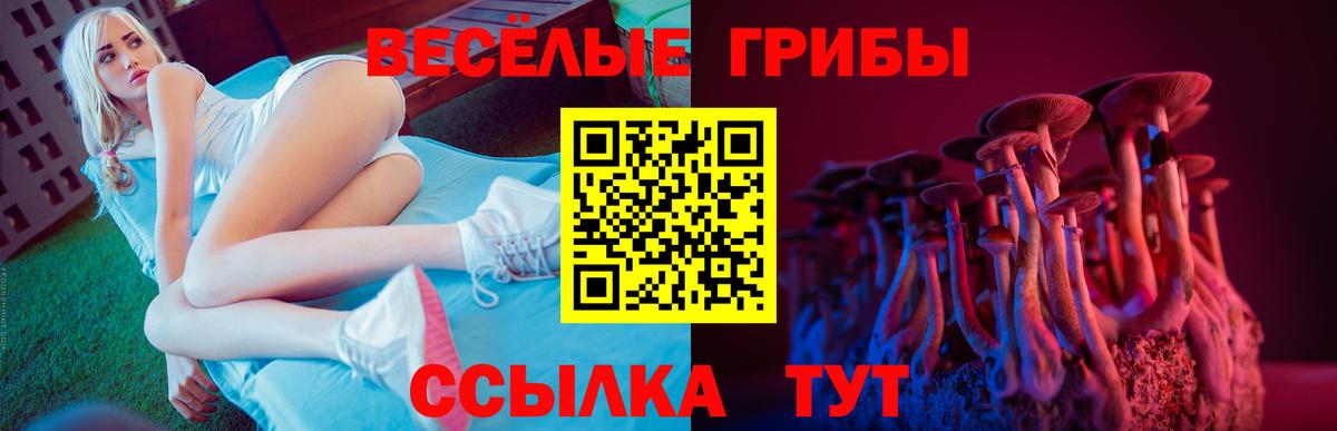 Псилоцибиновые грибы мицелий  Вход с VPN  Волхов 